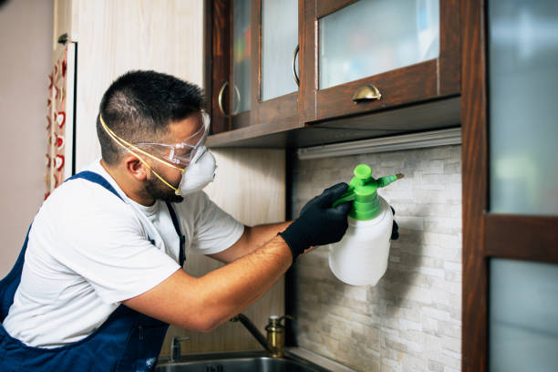 Best Best Pest Control Companies  in Capitan, NM