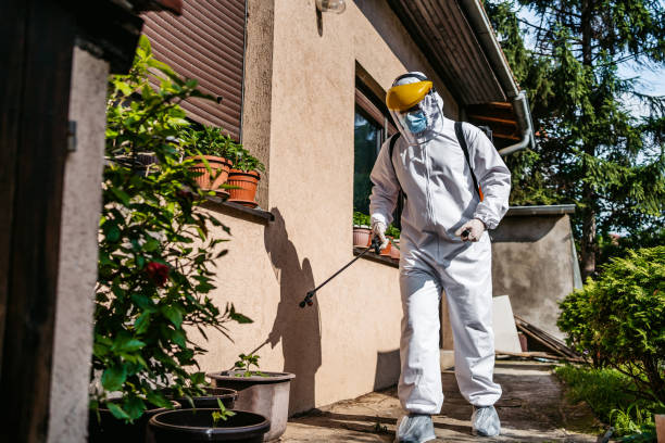 Best Insect Control  in Capitan, NM