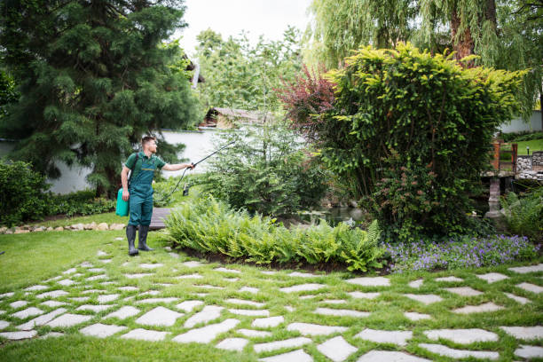 Best Commercial Pest Control Services  in Capitan, NM