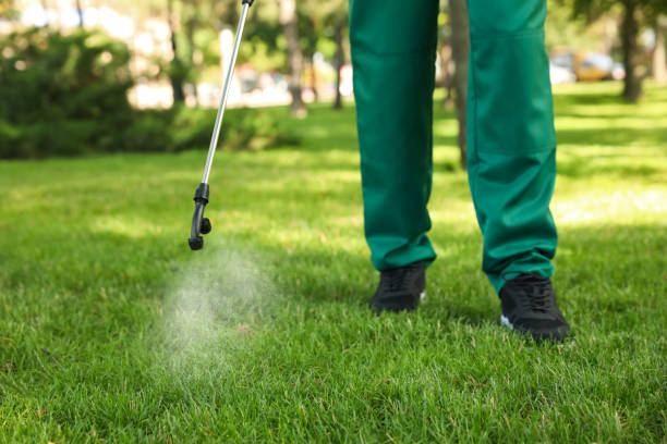 Best Pest Control for Businesses  in Capitan, NM