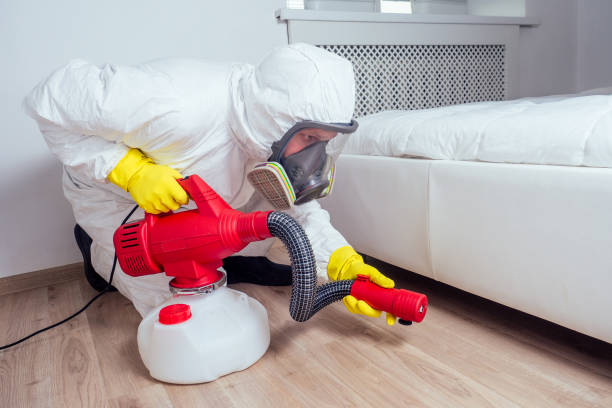 Best Affordable Pest Control Services  in Capitan, NM