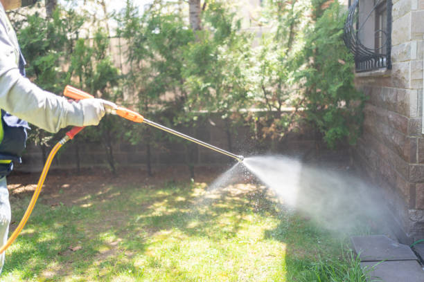 Best Termite Control Services  in Capitan, NM