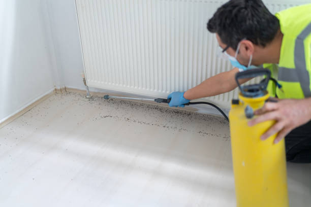 Best Commercial Pest Control Services  in Capitan, NM